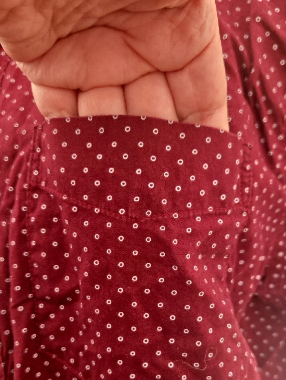 American Eagle Outfitters Burgundy Short-Sleeve Button-Down with Micro Dots